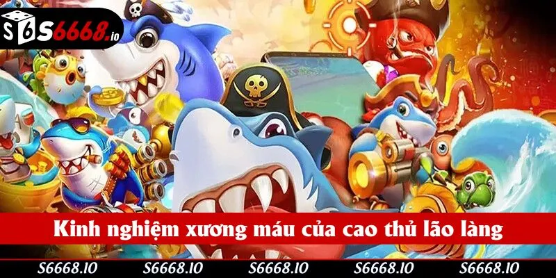 Tích lũy thực chiến từ những người từng trải
